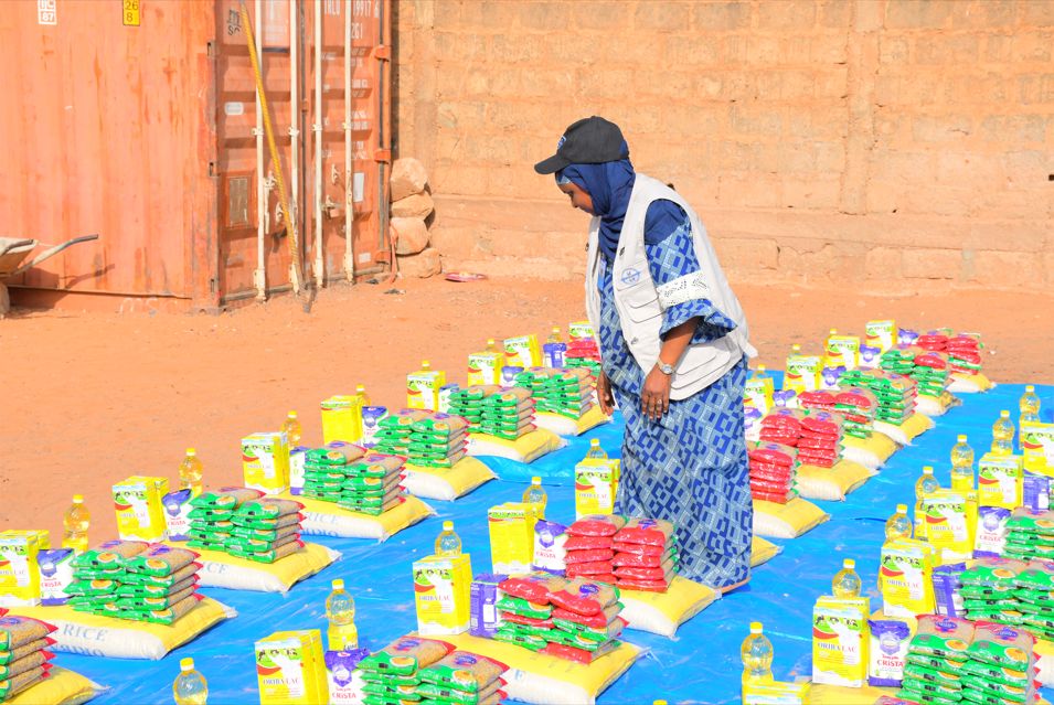 Action de l'ONG ANSH sur le terrain