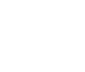 Logo ONG ANSH